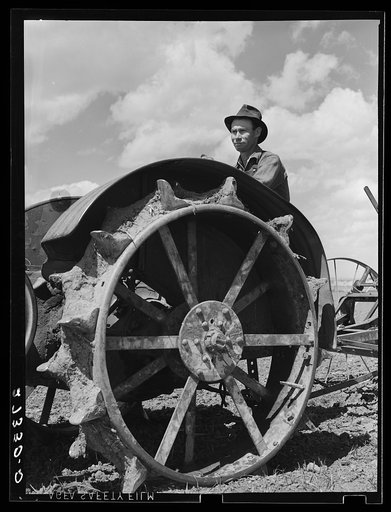 Farmer and tractor. Fairfield Bench Farms, Montana