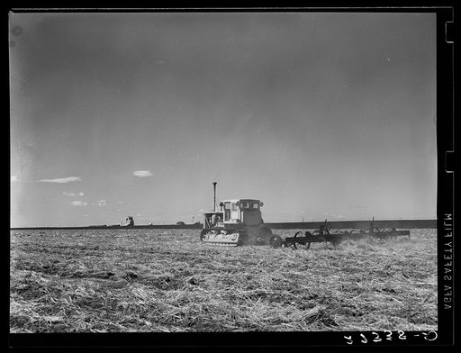 Untitled photo, possibly related to: Tractor pulling a noble blade along a fallow strip on Henry Sheffels' farm. Cascade County, Montana