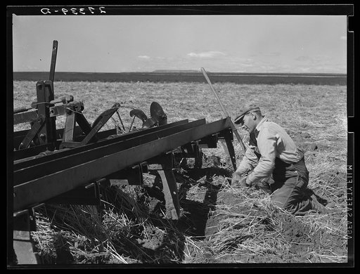 Untitled photo, possibly related to: Tractor with noble blade on Sheffels' wheat farm. Cascade County, Montana