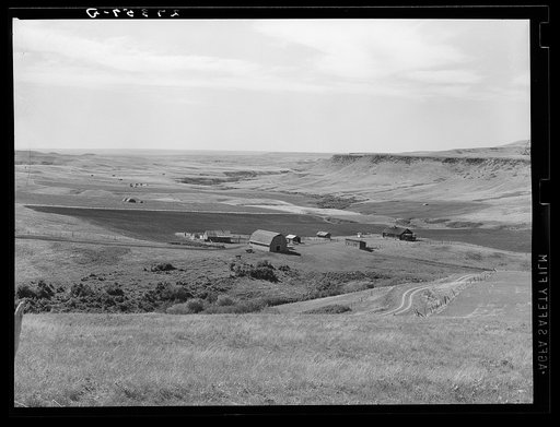 Farm. Cascade County, Montana