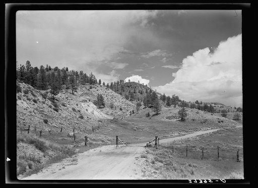 Cattle guard on rural road. Big Horn County, Montana