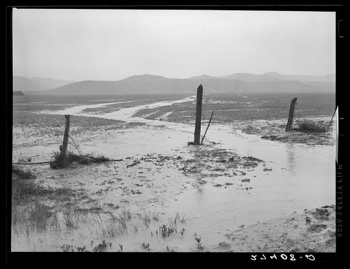 In the plains area most of the annual ten inches of rain comes in torrents. Custer County, Montana. They create gullies and sheet erosion