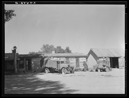 Loading the roundup truck. Quarter Circle 'U' Ranch, Montana