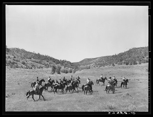 Dudes out for a morning ride. Quarter Circle 'U' Ranch, Montana