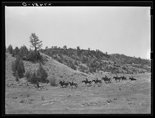 Dudes out for a morning ride. Quarter Circle 'U' Ranch, Montana