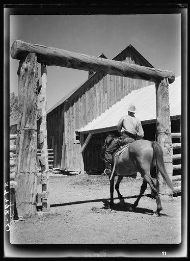 Untitled photo, possibly related to: Corral gate. Quarter Circle 'U' Ranch, Montana