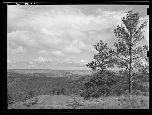 View from Poker Jim Butte. Custer National Forest, Montana
