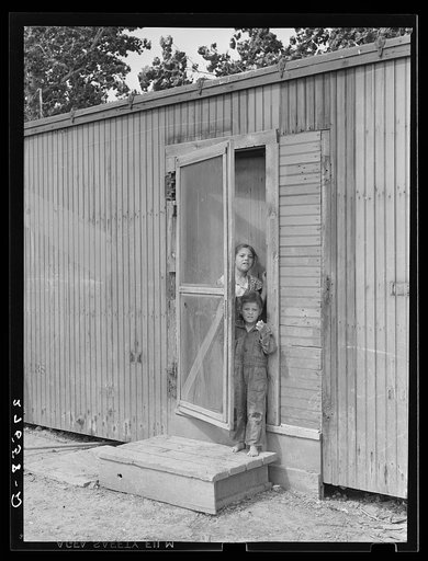 Untitled photo, possibly related to: Sugar beet workers' children. Treasure County, Montana