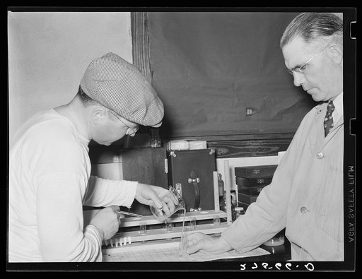 Untitled photo, possibly related to: Semen obtained from stallion in artificial insemination experiments at range experimental station. Miles City, Montana
