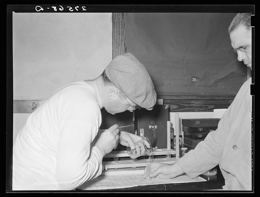 Semen obtained from stallion in artificial insemination experiments at range experimental station. Miles City, Montana