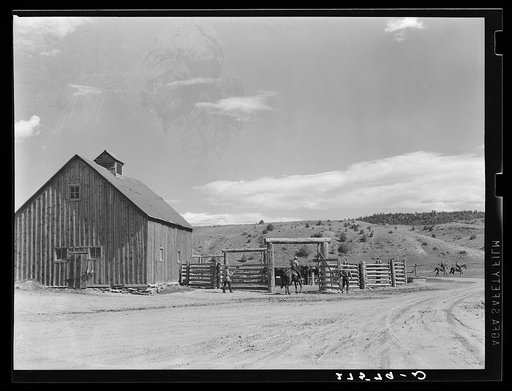 Barn and corral. Quarter Circle 'U' Ranch, Montana