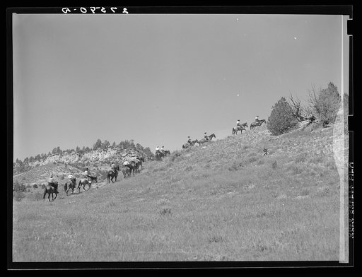 Untitled photo, possibly related to: Dudes riding. Quarter Circle 'U' Ranch, Montana