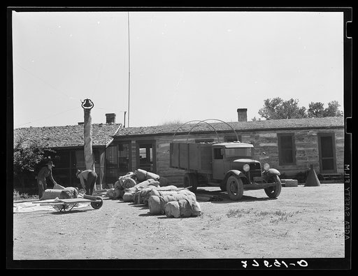 Loading the roundup truck. Quarter Circle 'U' Ranch, Montana
