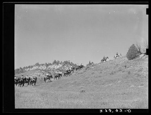 Dudes riding. Quarter Circle 'U' Ranch, Montana
