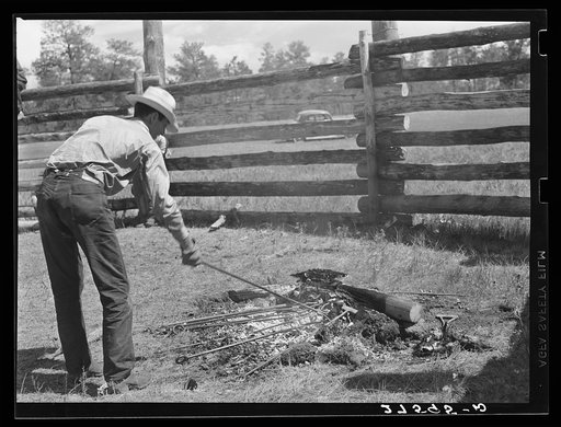 Untitled photo, possibly related to: Branding. Three Circle roundup. Custer Forest, Montana