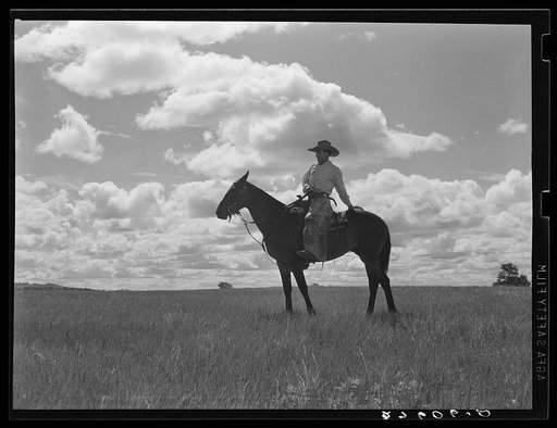 Cowhand. Custer Forest, Montana