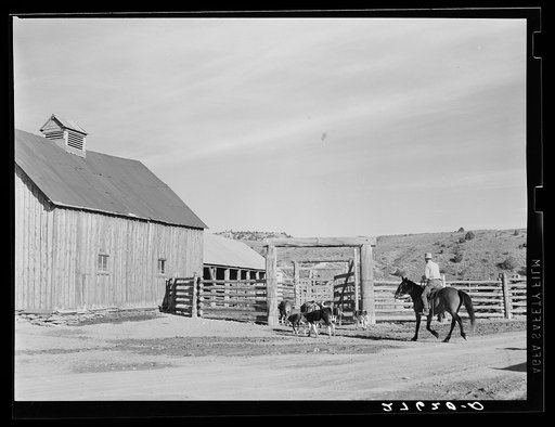 Untitled photo, possibly related to: Barn and corral. Quarter Circle 'U' Ranch, Montana