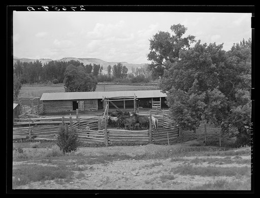 Untitled photo, possibly related to: Corral and barn. Warren Brewster ranch, Montana