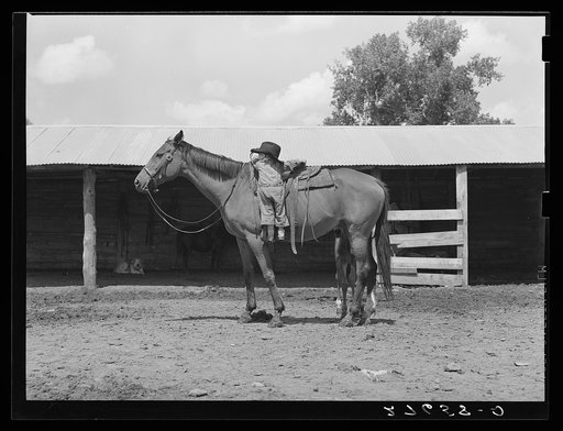 Little girl with mare. Warren Brewster ranch, Montana