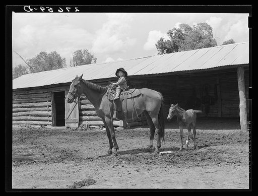 Little girl with mare. Warren Brewster ranch, Montana