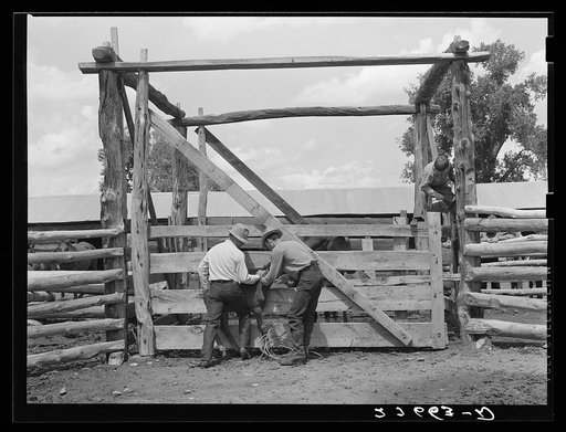 Untitled photo, possibly related to: Vaccinating colt against blackleg. Warren Brewster ranch, Montana