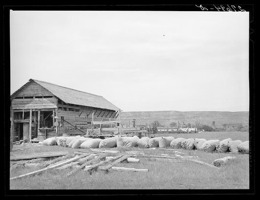 Wool sacks at sheepshearing pen. Rosebud County, Montana