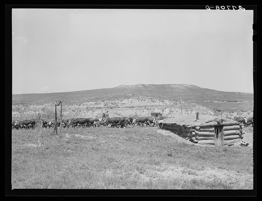 Untitled photo, possibly related to: Homesteader's abandoned dugout. Custer County, Montana