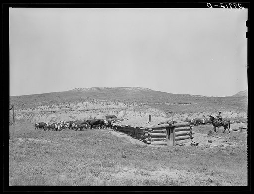 Untitled photo, possibly related to: Homesteader's abandoned dugout. Custer County, Montana