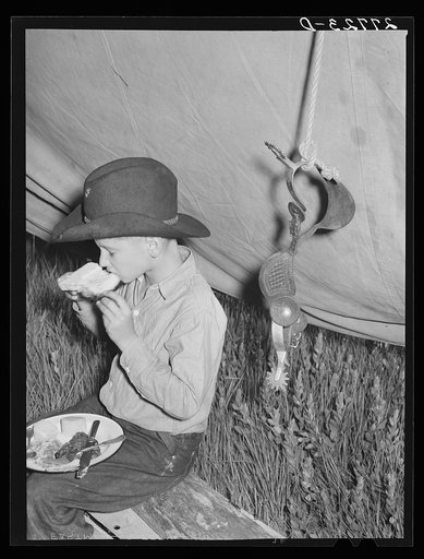 Rancher's son at dinner. Quarter Circle 'U' Ranch roundup. Big Horn County, Montana