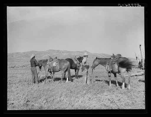 Saddling horses for the roundup. William Tonn ranch, Custer County, Montana
