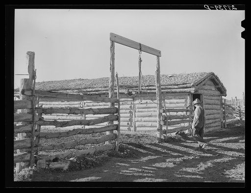 Shed with sod roof. William Tonn ranch, Custer County, Montana