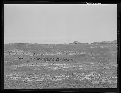 William Tonn ranch, Custer County, Montana