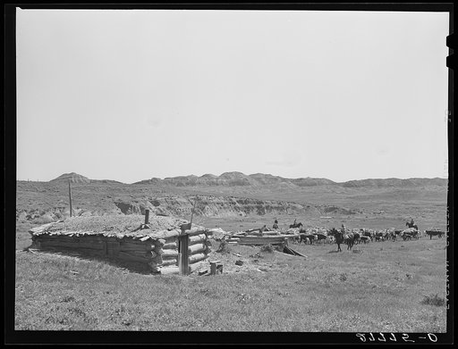 Untitled photo, possibly related to: Homesteader's abandoned dugout. Custer County, Montana