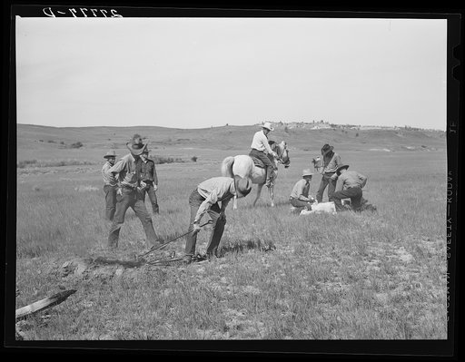 Quarter Cirle U Brewster-Arnold Ranch Company, near Birney, Montana.  Branding at the round-up