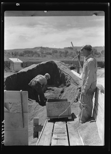 Preparing poison bait in grasshopper control program. Forsyth, Montana