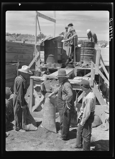 Untitled photo, possibly related to: Filling a bag with poison bait for grasshoppers. Forsyth, Montana