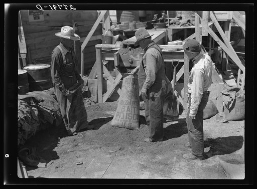 Filling a bag with poison bait for grasshoppers. Forsyth, Montana