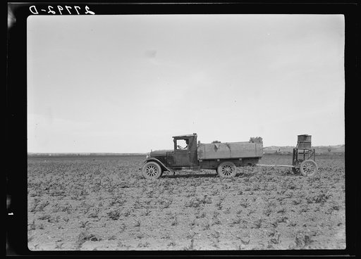 Farmer spreading poison grasshopper bait in sugar beet field. Forsyth, Montana
