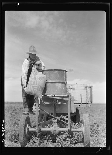 Farmer loading spreading device with grasshopper poison. Forsyth, Montana