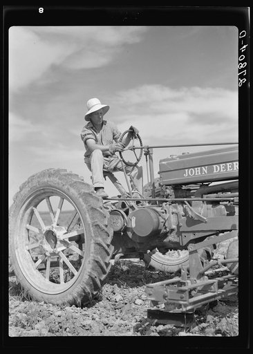 Untitled photo, possibly related to: Sugar beet cultivator. Rosebud County, Montana