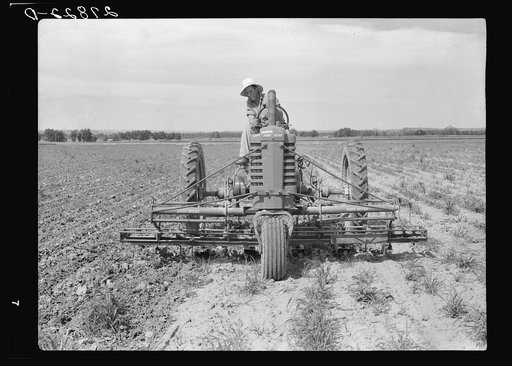 Sugar beet cultivator. Rosebud County, Montana