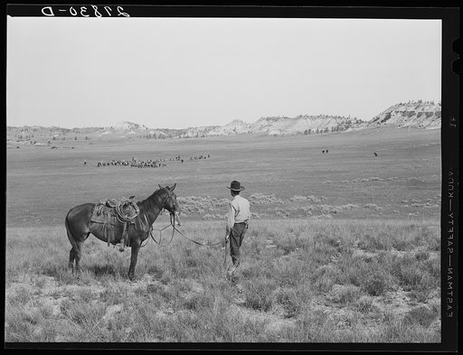 Untitled photo, possibly related to: Quarter Circle 'U' Ranch roundup. Big Horn County, Montana