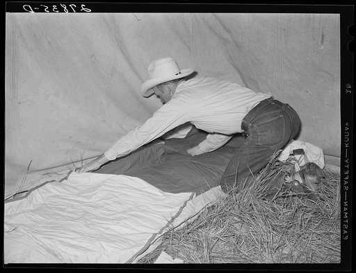 Cowboy making his bed. Quarter Circle 'U' Ranch roundup. Big Horn County, Montana