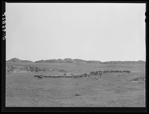 Roundup. William Tonn ranch, Montana