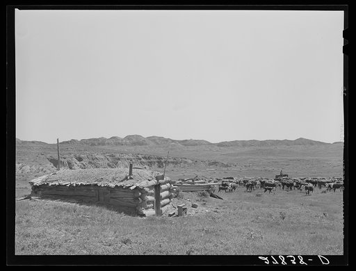 Untitled photo, possibly related to: Homesteader's abandoned dugout. Custer County, Montana