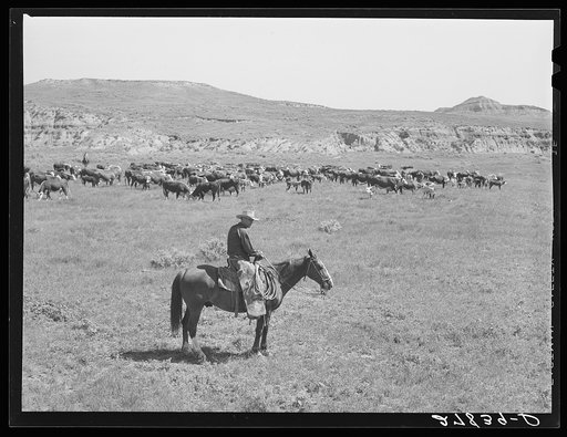 Untitled photo, possibly related to: Cowhand. William Tonn ranch, Custer County, Montana