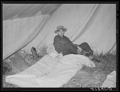 Cowboy going to bed. Quarter Circle 'U' Ranch roundup. Big Horn County, Montana
