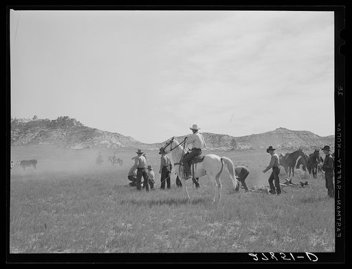 Untitled photo, possibly related to: Roping a calf. Quarter Circle 'U' Ranch, Big Horn County, Montana
