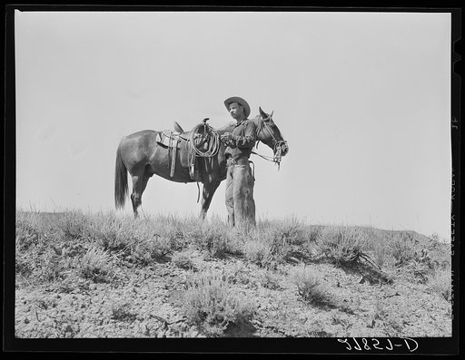 Cowhand. William Tonn ranch, Custer County, Montana