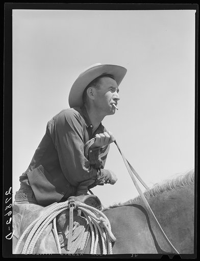 Cowhand. William Tonn ranch, Custer County, Montana